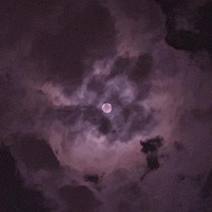 黑丝自慰插入污污
